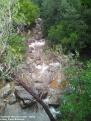 Torrent del Cocons - Arta