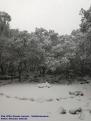Pla d'Es Pouet Nevat - Valldemossa